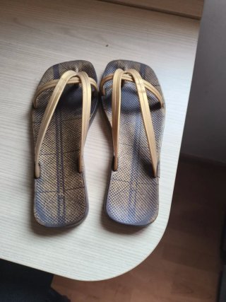 Chanclas Ipanema Doradas y Marrones