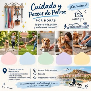 Paseo de perros en Alicante