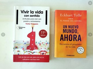 Un nuevo mundo ahora Eckhart Tolle +Vivir la vida