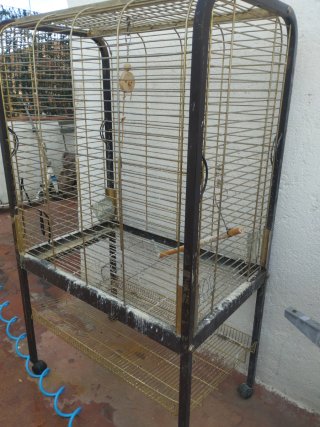 Jaula para Loros Grande