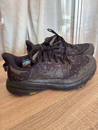 Zapatillas Hoka Speedgoat 6 GTX