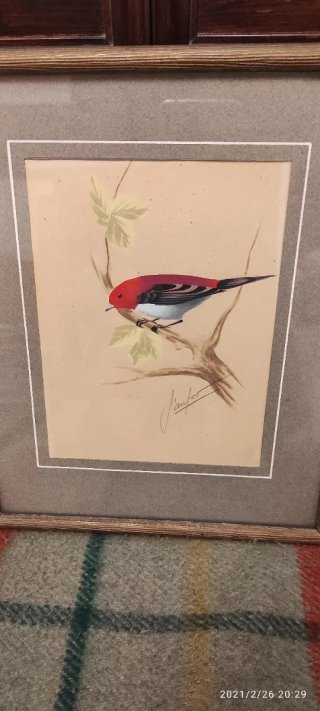 Pintado a plumilla y firmado cuadro antiguo