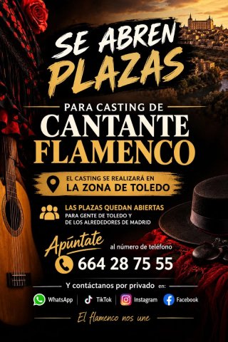 Casting para Cantante Flamenco en Toledo