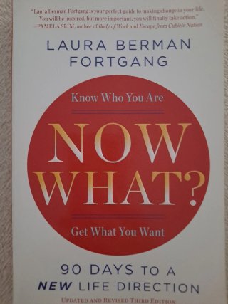 Now what? 90 days to a new life direction