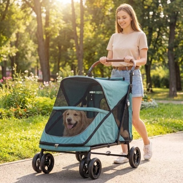 Carrito Perro Plegable Teal/Marrón