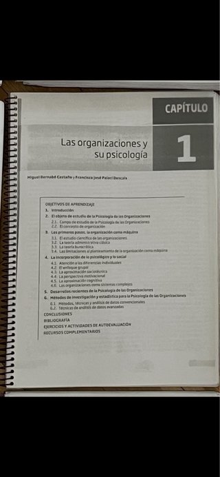 Psicologia de las organizaciones