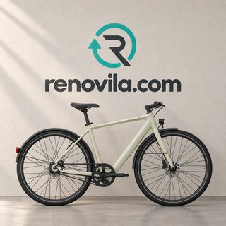 TENWAYS CGO600: bicicleta eléctrica