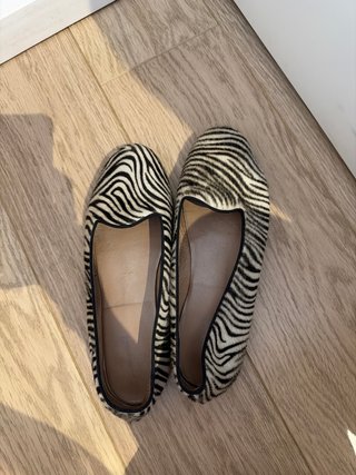 Francesitas Animal Print Cebra