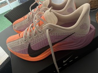 Zapatillas Nike Pegasus Plus