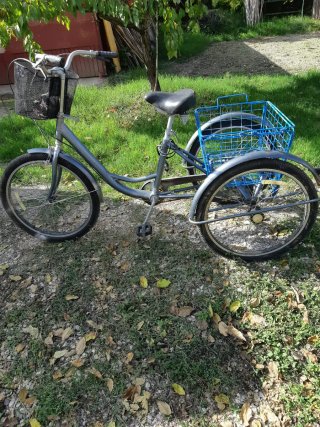 Bicicleta de 3 Ruedas con Cesta