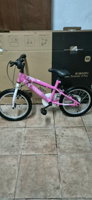 Bicicleta Infantil Denbike Rosa
