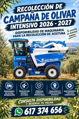 Recoleccion de Olivar Super Intensivo