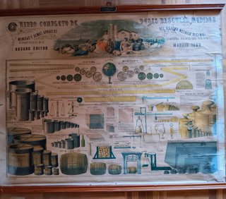 Cartel Escolar Antiguo 1886 A. Rosado Editor.