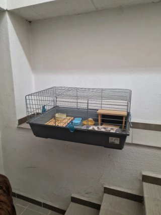 Jaula para cobayas o conejos