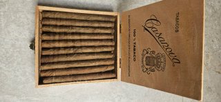 Scatola da collezione di 20 sigari Casanova