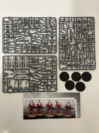 Warhammer Aeldari Wraithguard (5 miniature)