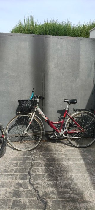 Bicicleta de paseo roja con cesta