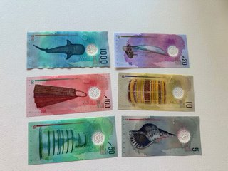Set de 6 Billetes de Maldivas