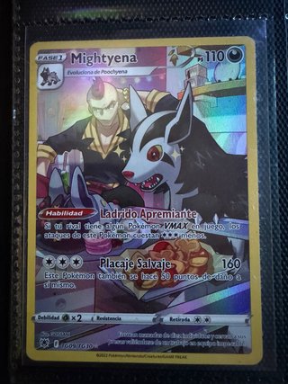 Carta Pokémon Mightyena TG09/TG30