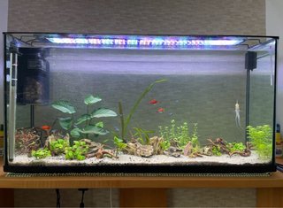 Acuario de 120 Litros con Complementos