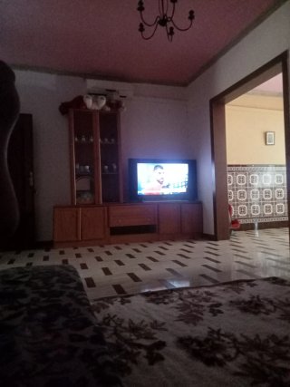 Lote: TV y 2 Calentadores de Gas