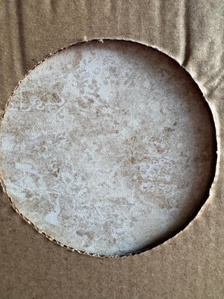 Baldosas de Porcelánico 62,5 x 31