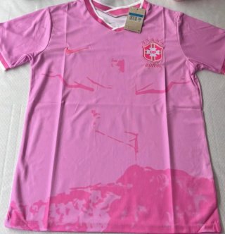 Camiseta Brasil Nike