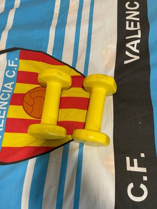 Set di 2 Manubri da 2 kg