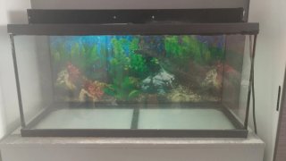 Acuario con Pantalla de Iluminación