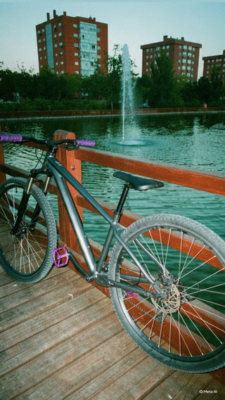 Bicicleta de Montaña Gris