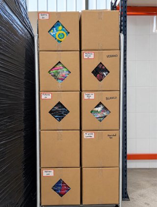 Lote de gorras y viseras