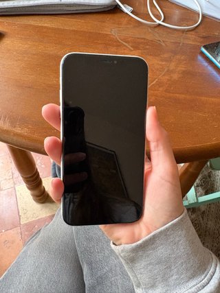 iPhone XR per parti