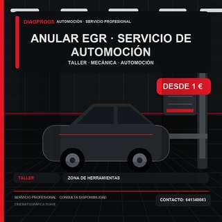 Anular Egr · Servicio de automoción