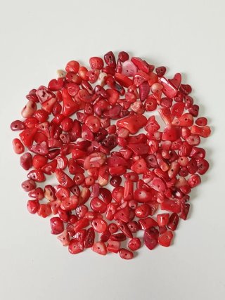 Chips de Coral Rojo