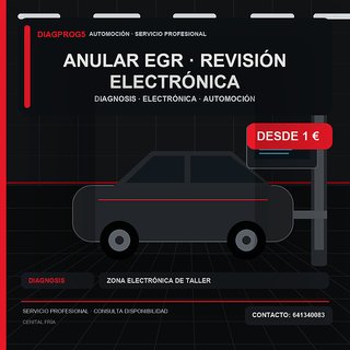 Anular Egr · Revisión electrónica