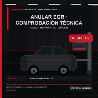 Anular Egr · Comprobación técnica