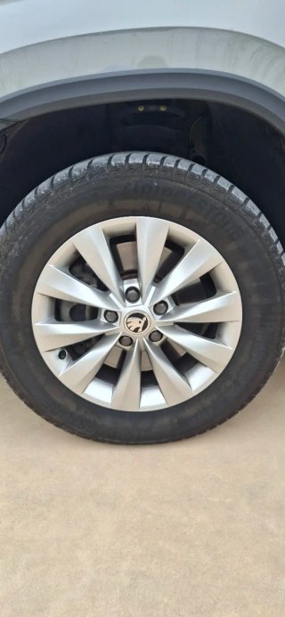 Llantas originales Skoda Karoq Castor