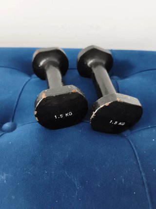Set di 2 Manubri da 1,5 kg