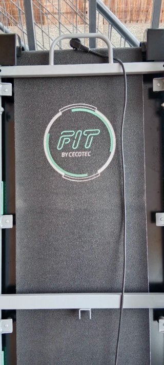 Cinta de Correr Cecotec Runfit vibration multifunc