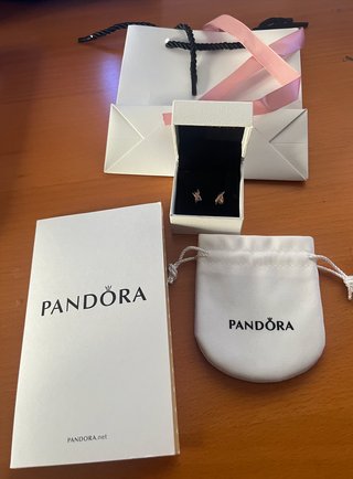 Pendientes Pandora