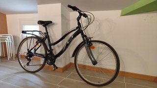 Bicicleta de paseo con suspensión y portaequipajes