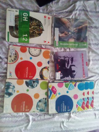 Libros de figueras pacheco