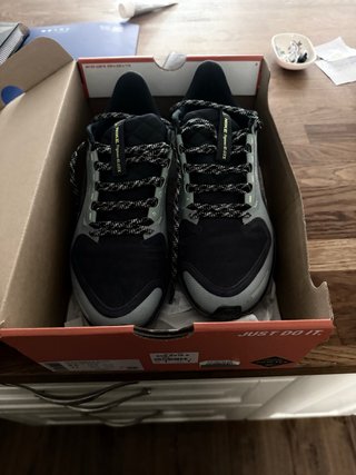 Zapatillas Nike Pegasus 41 GTX