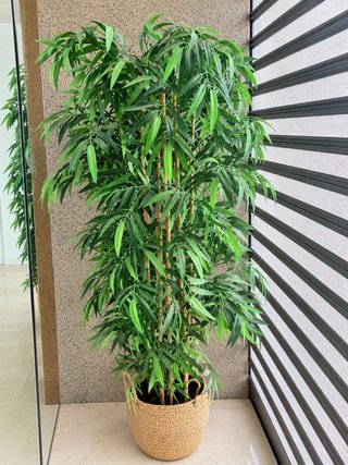 2 Plantas de Bambú Artificial 180cm