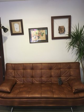 Divano-letto in pelle marrone
