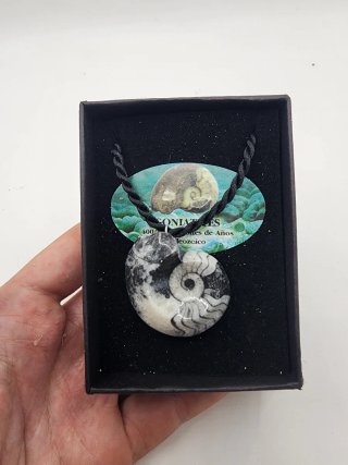 Collar con Fósil de Ammonites