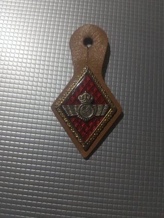 Distintivo de Soldado Paracaidista