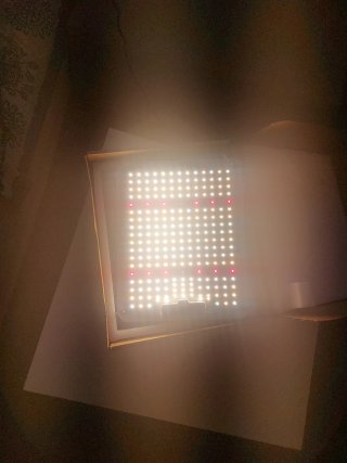 Lámpara LED para Cultivo