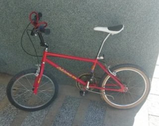 Bicicleta BH California XL2
