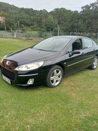 Peugeot 407 2010